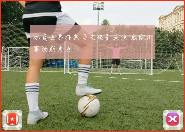 冰岛世界杯黑马之路引关注 成欧洲赛场新看点