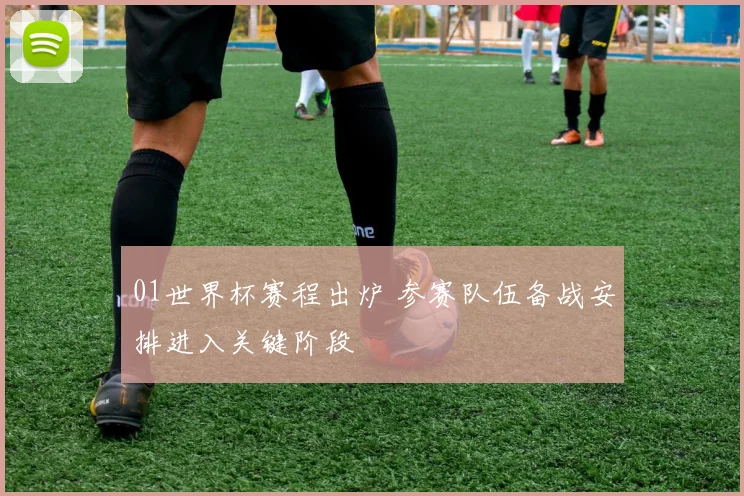 01世界杯赛程出炉 参赛队伍备战安排进入关键阶段
